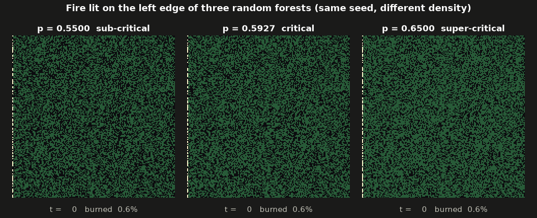 Fire spreading through three forests at p = 0.55, p_c and 0.65