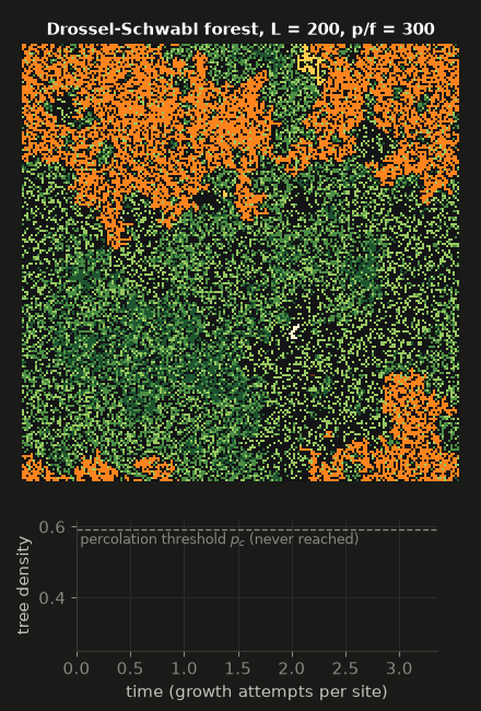 Drossel-Schwabl forest: tree ages, burn scars and the density trace