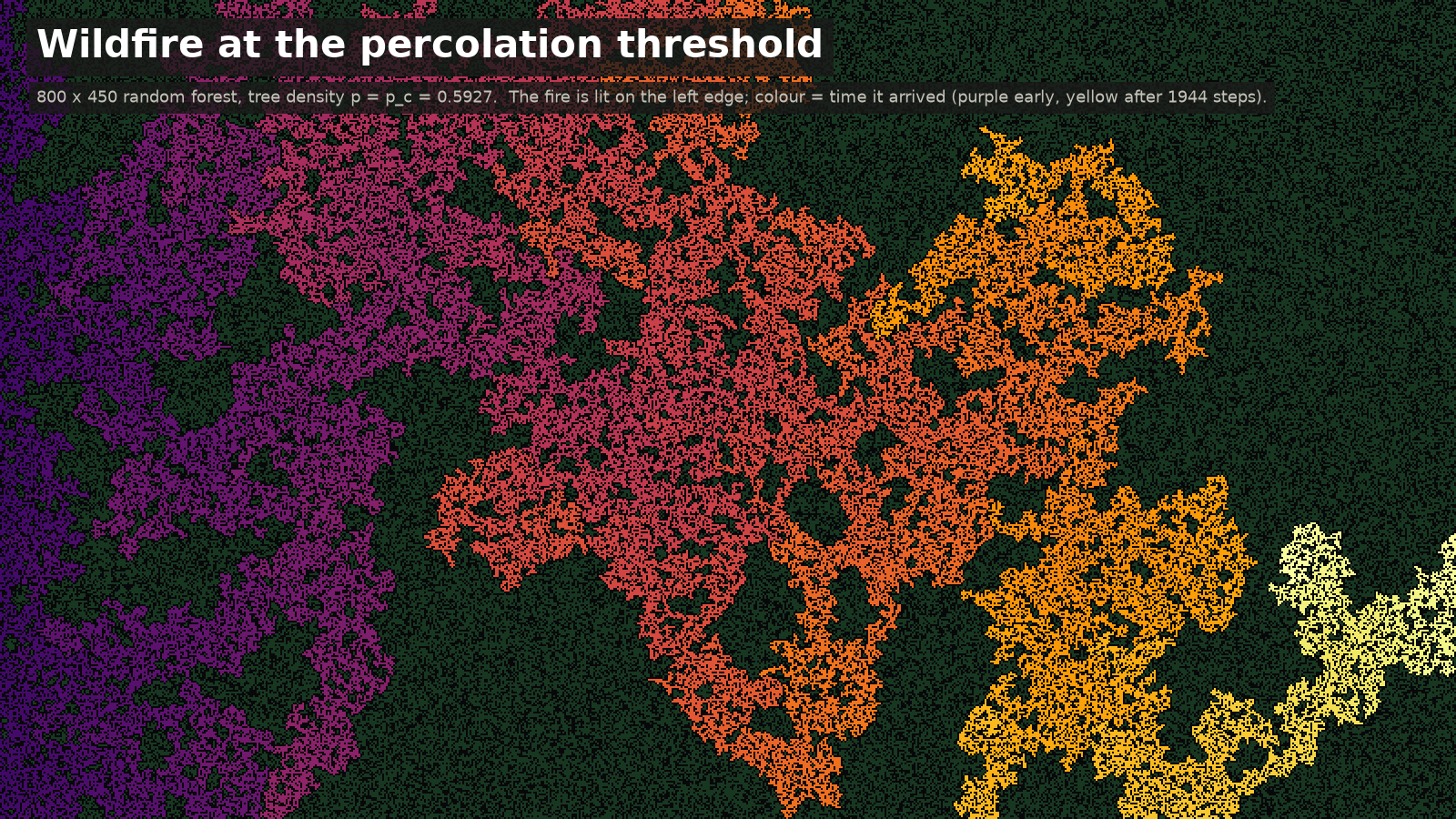 Wildfire Percolation: hero image