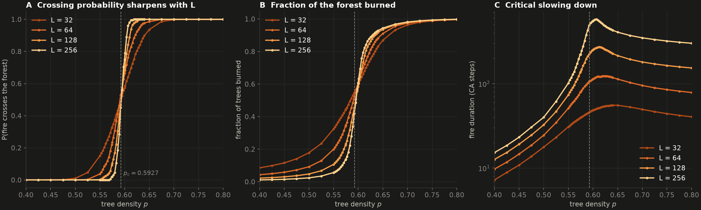 Crossing probability, burned fraction and fire duration vs p for L = 32..256