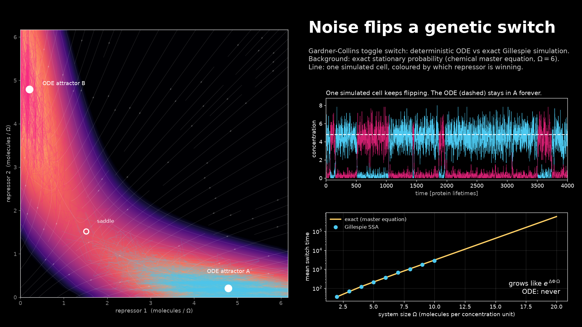 Noise in Gene Circuits: hero image