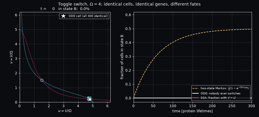 toggle population